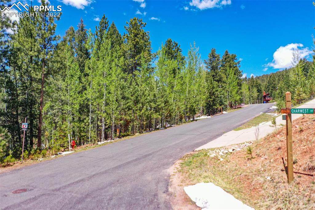 1320 Forest Edge Road - Photo 1
