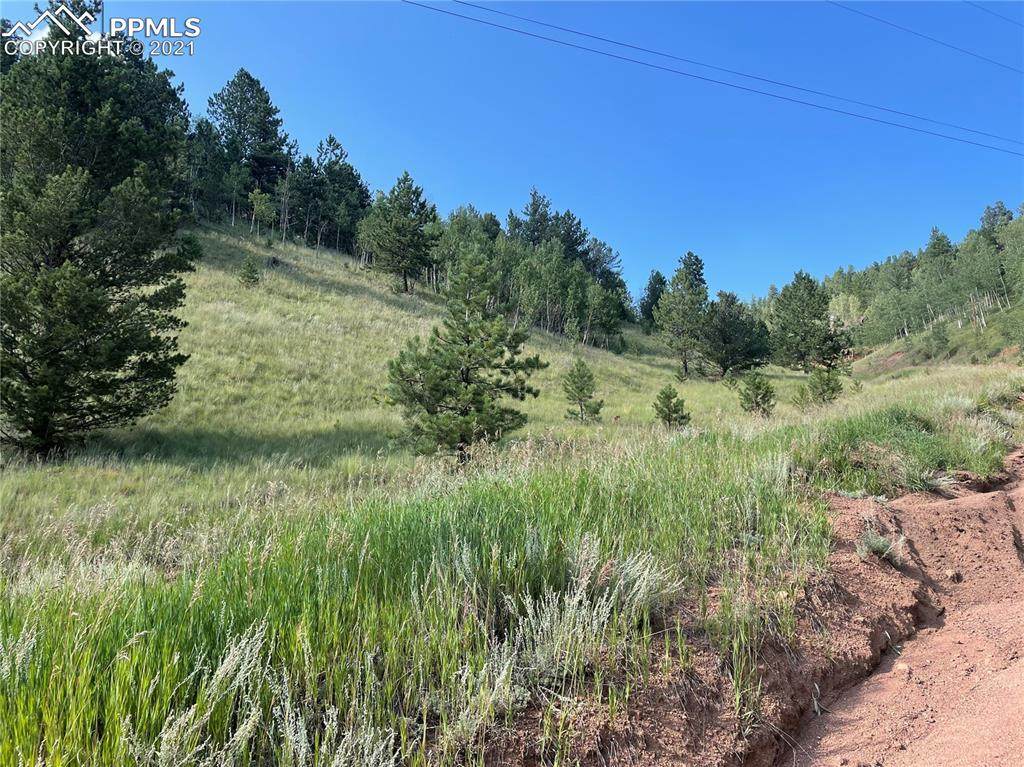 113 Beaver Pond Road - Photo 1