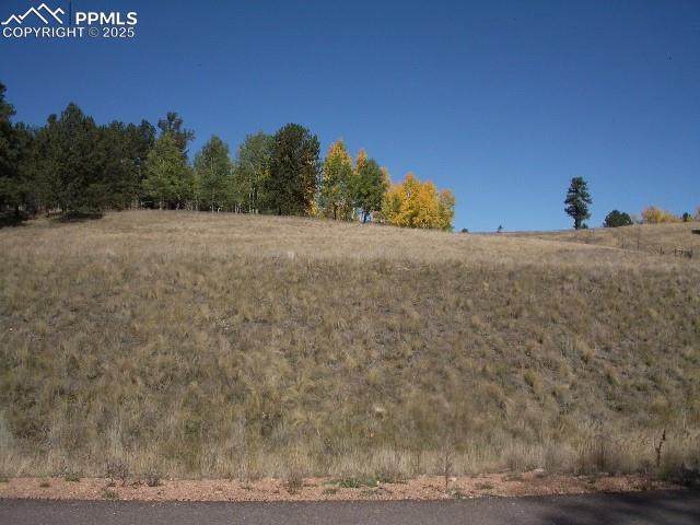 307 Pinaceae Heights - Photo 1