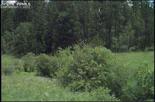 3184 County Road 33 Road - Photo 1