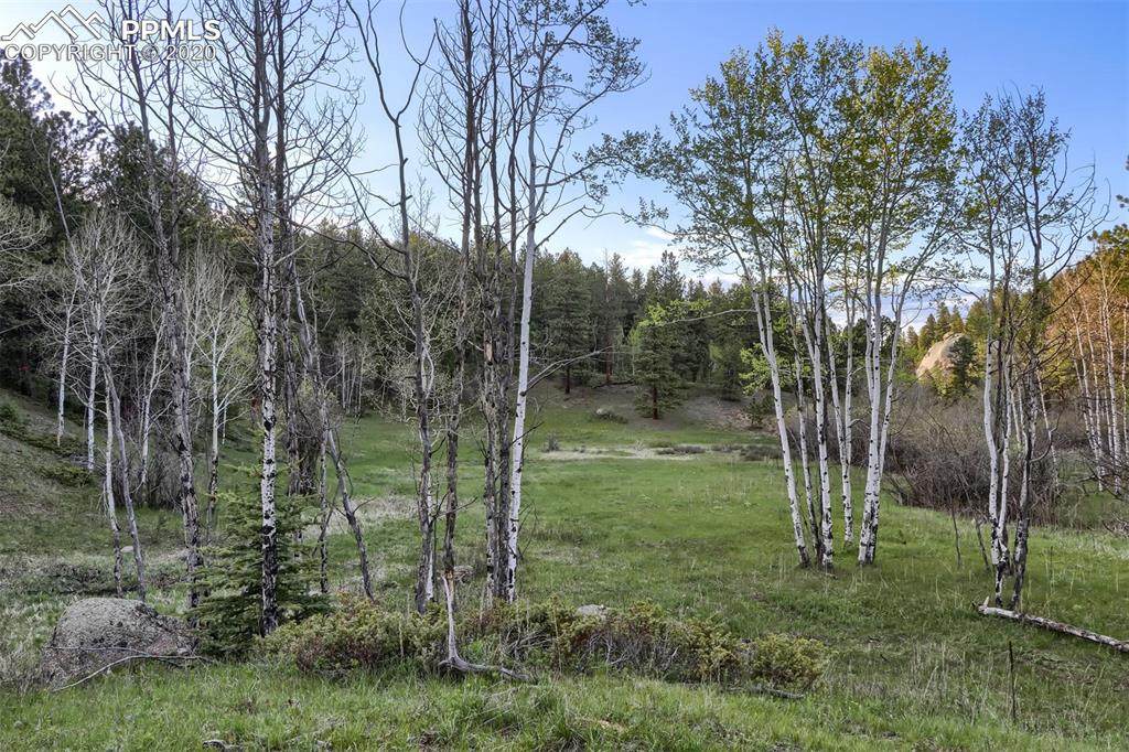 County Road 67 - Photo 1