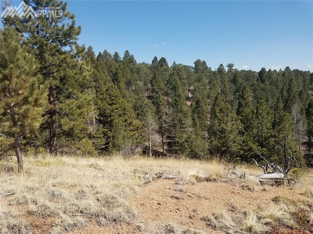 56 Wa-Hi Road - Photo 1