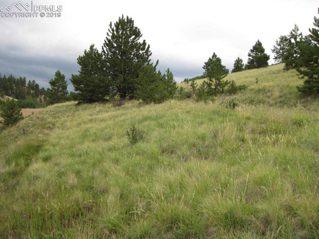 924 Anges Drive - Photo 1