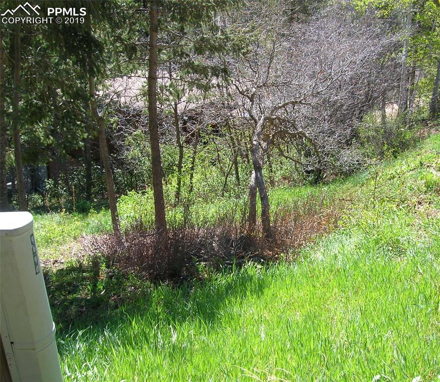 9710 Mohawk Trail - Photo 1