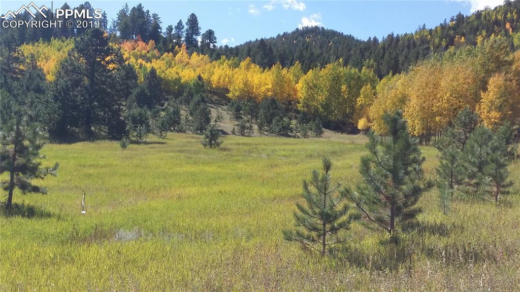 5503 County 1 Road - Photo 1