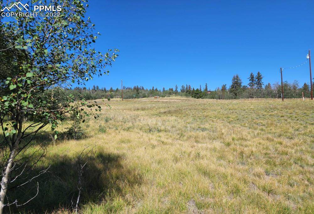 368 Shoshone Drive - Photo 1