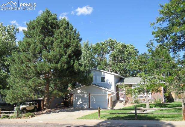 5174 Bitterweed Lane - Photo 1