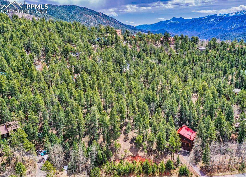 1071 Paradise Valley Drive - Photo 1