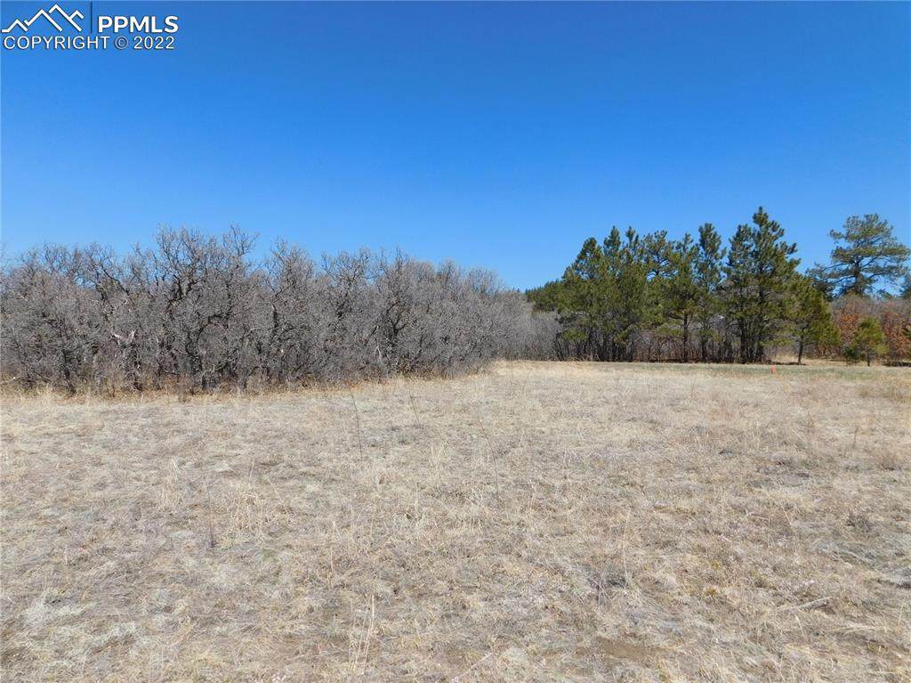 7021 Wood Sorrel Road - Photo 1