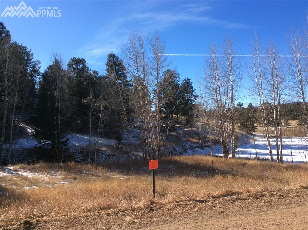 64 Indian Head Circle - Photo 1
