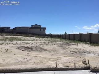 3703 Bierstadt Lake Court - Photo 1