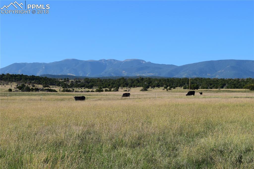 Simonson Road - Photo 1