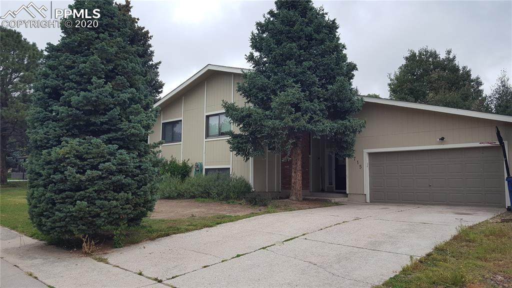4715 Bunchberry Lane - Photo 1