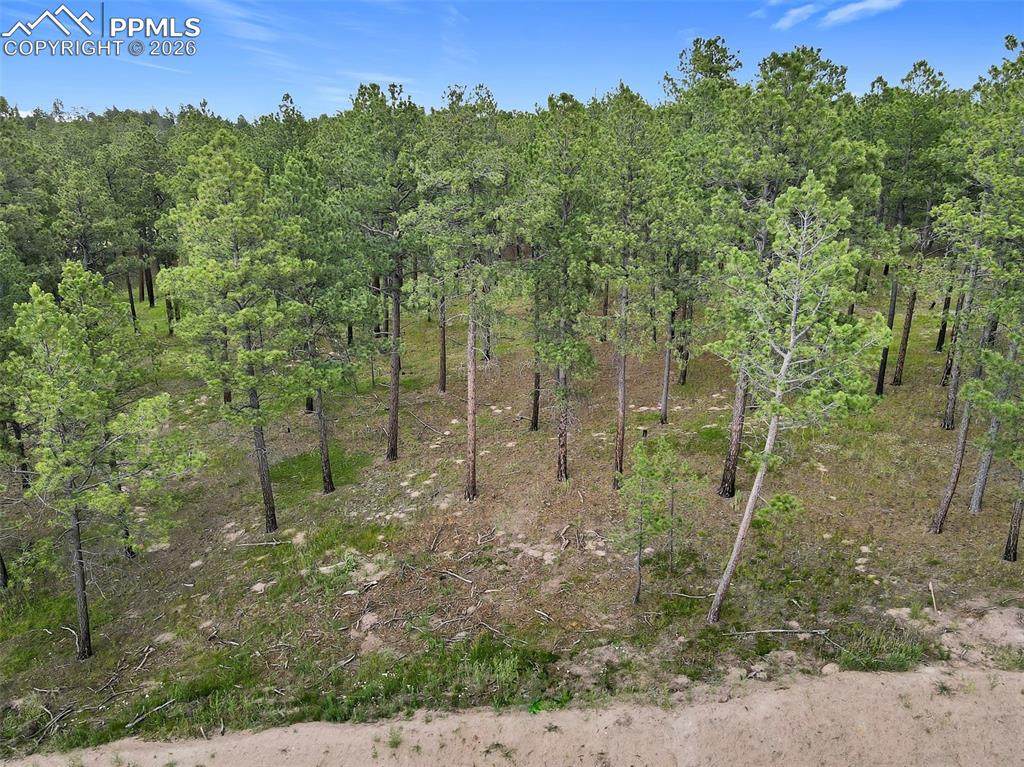 14983 Bourbon Court - Photo 1