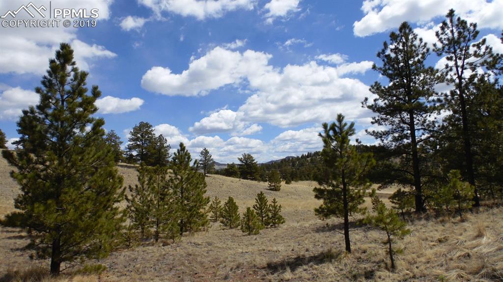 4499 County 102 Road - Photo 1