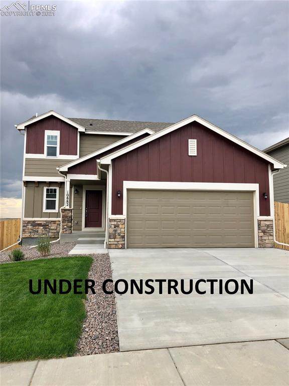 6837 Volga Drive - Photo 1