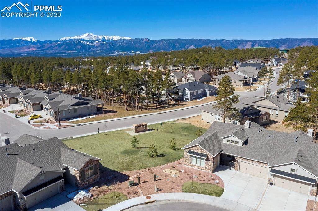 16482 Mountain Mist Drive - Photo 1