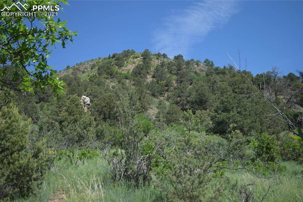 284 Crystal Park Road - Photo 1