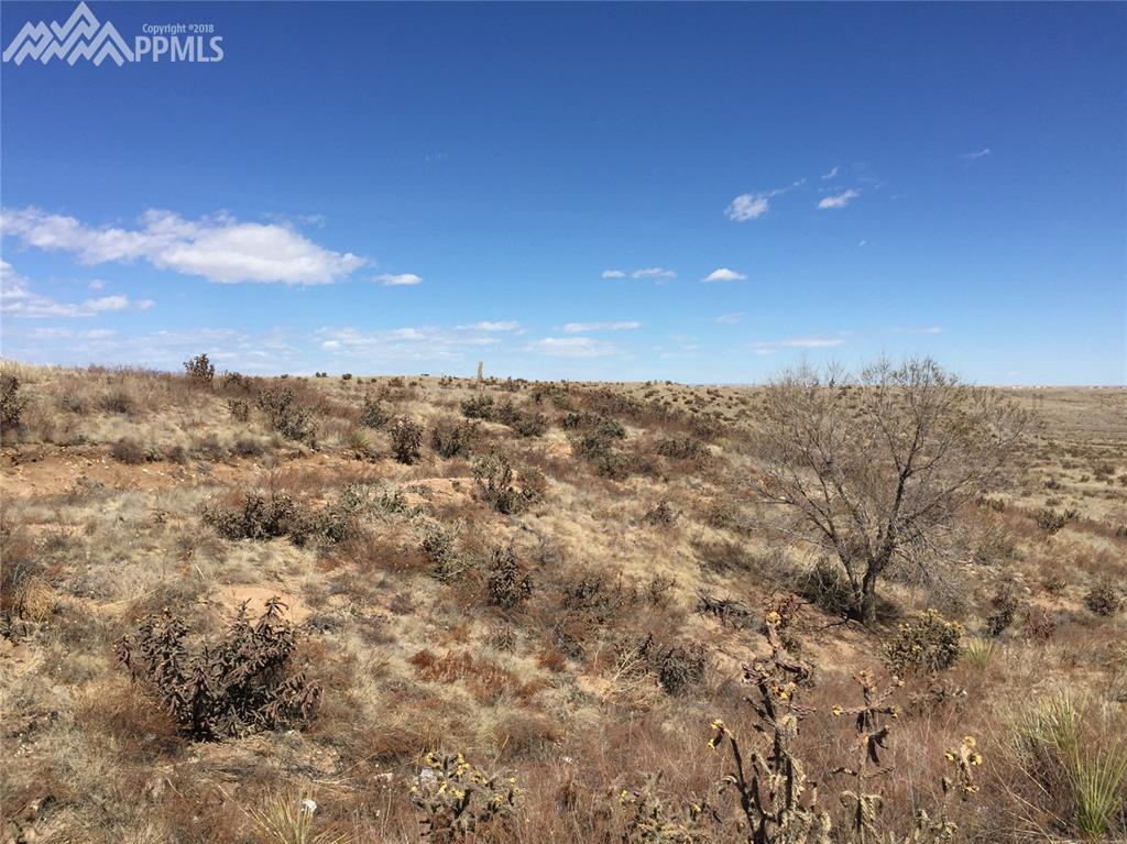 6650 Quail Road - Photo 1