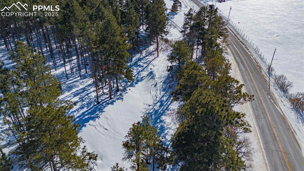 14420 Perry Park Road - Photo 1