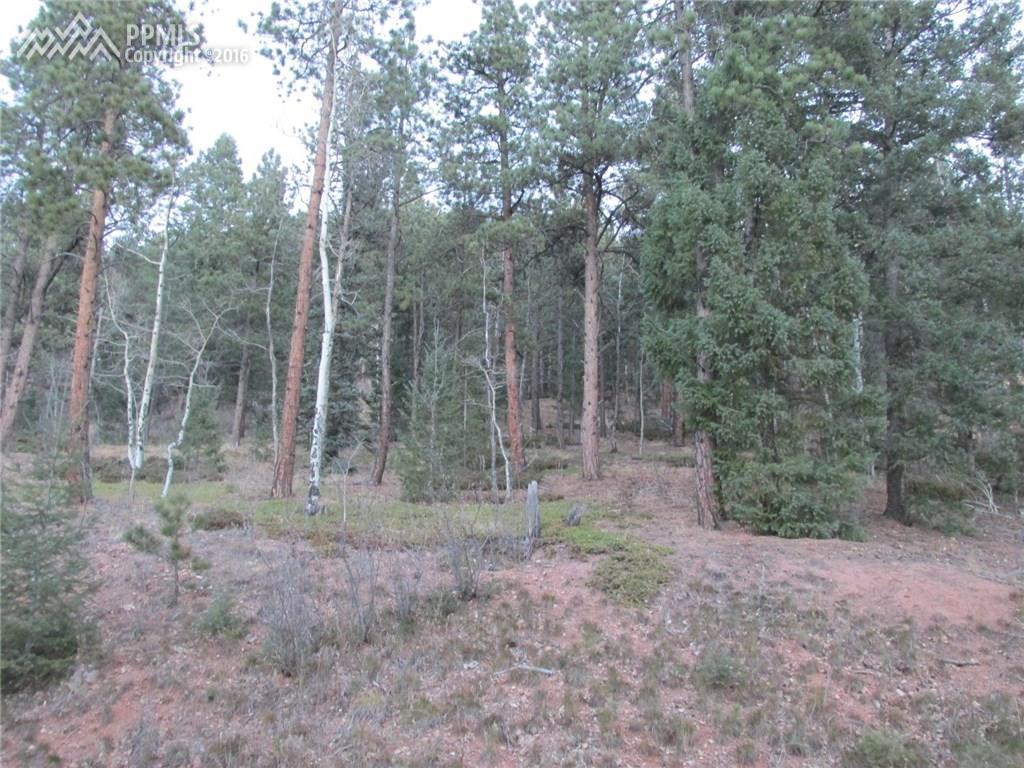 1470 Kings Crown Road - Photo 1