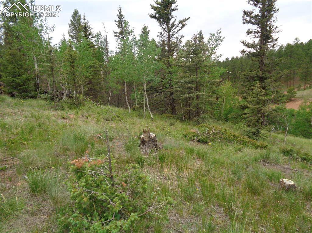 87 Chalk Creek Trail - Photo 1