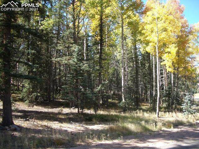401 Silvermoon Heights - Photo 1