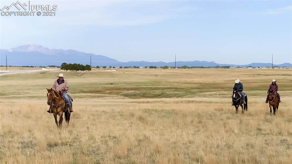 7990 Cowboy Ranch View - Photo 1