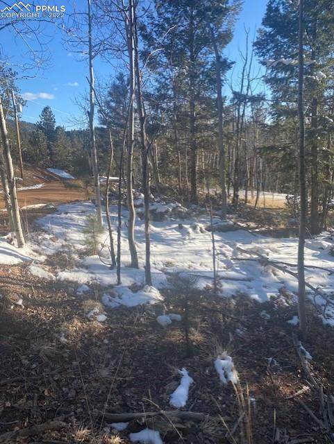 585 Princess Road - Photo 1