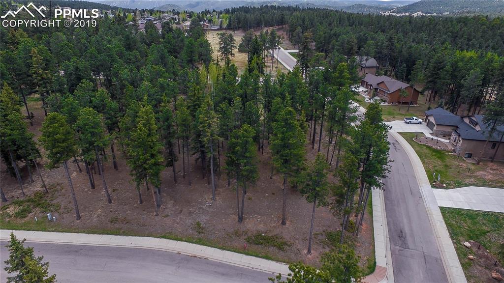 605 Chipmunk Drive - Photo 1