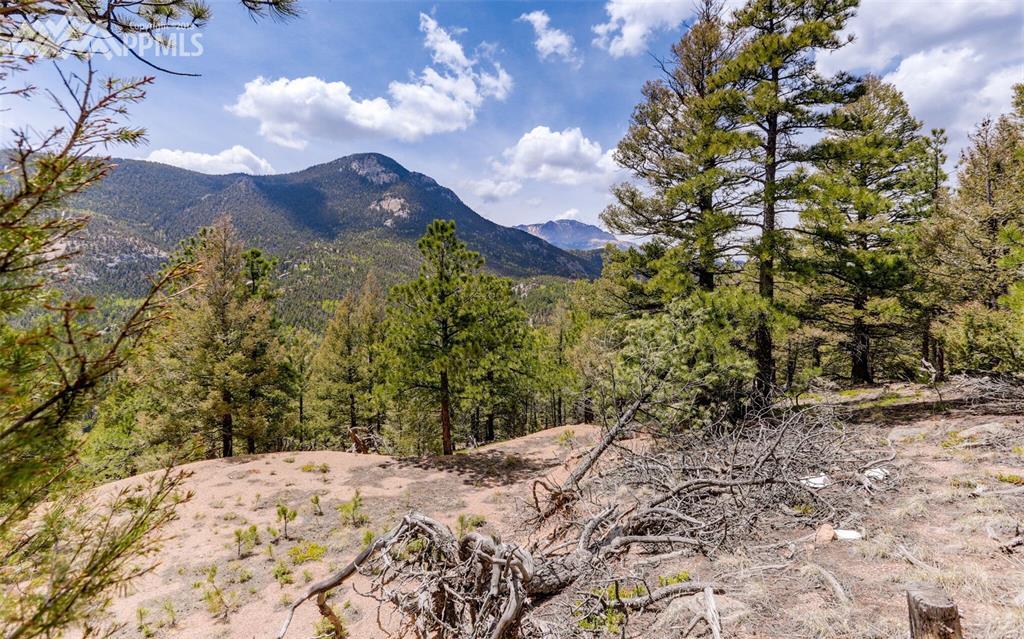 339 Eagle Mountain Road - Photo 1