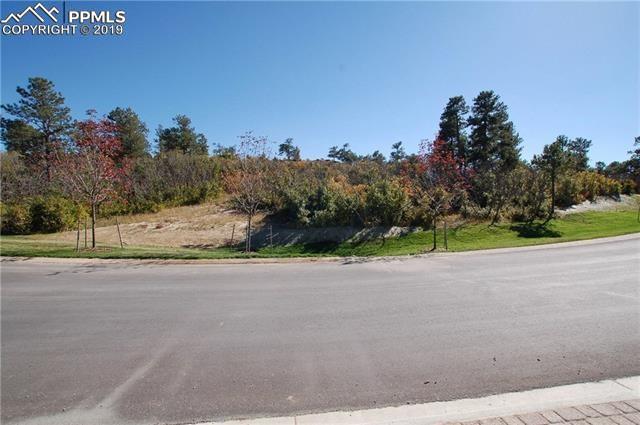 1725 Vine Cliff Heights - Photo 1