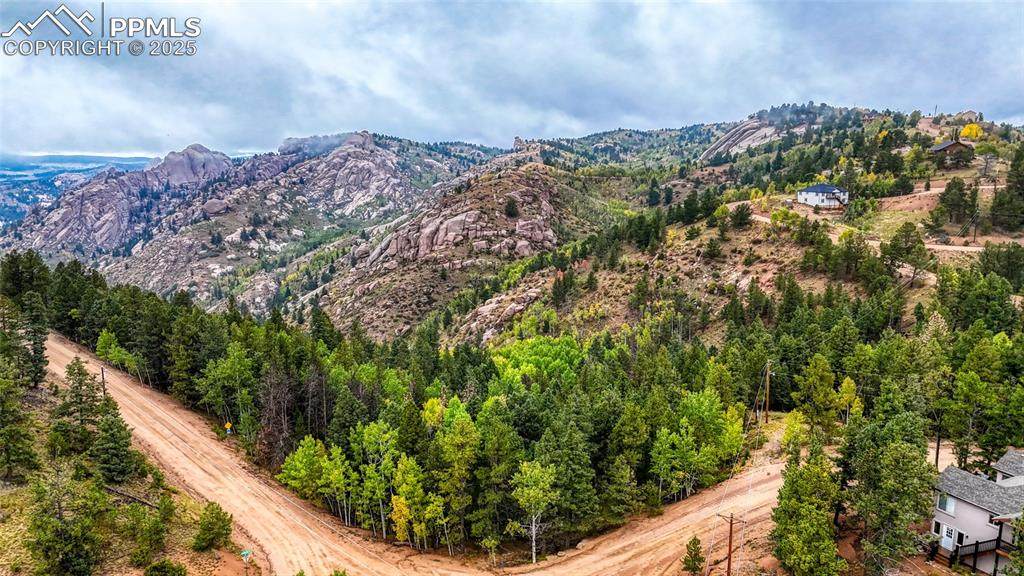 599 Dandy Jim Drive - Photo 1