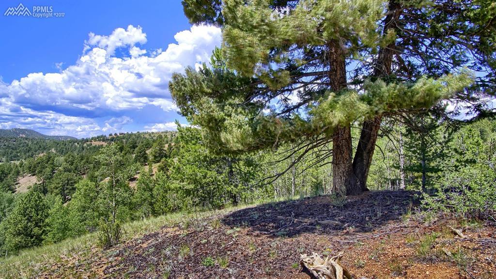 656 Vivenda Road - Photo 1