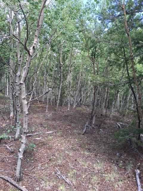 192 Deadwood Road - Photo 1