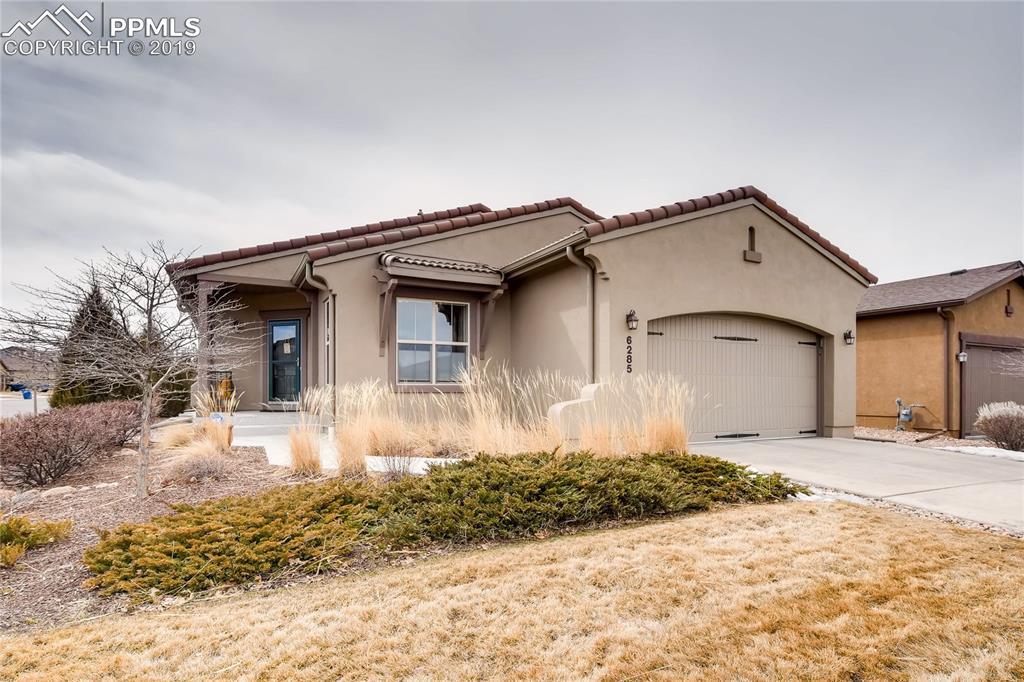 6285 Mount Ouray Drive - Photo 1