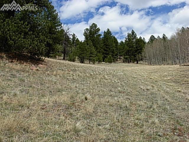 6901 Highway 24 Highway - Photo 1