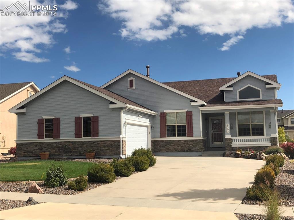 8803 Wolf Lake Drive - Photo 1