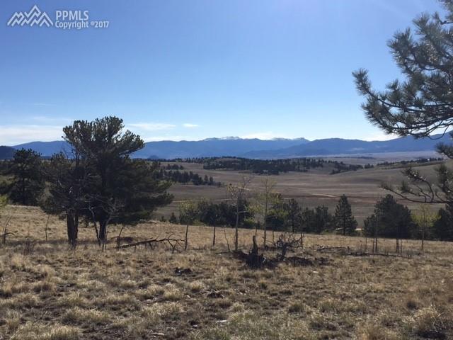 321 County 17 Road - Photo 1