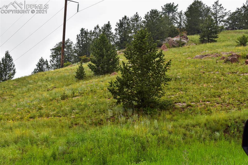 n/a Lewis Avenue - Photo 1