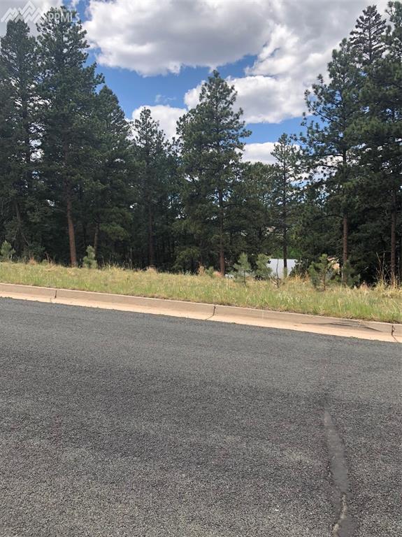 406 Falcons Rest Place - Photo 1