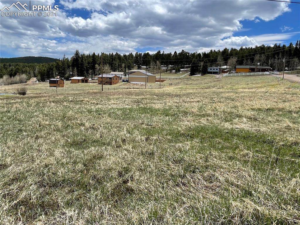 28652 Doe Valley Drive - Photo 1