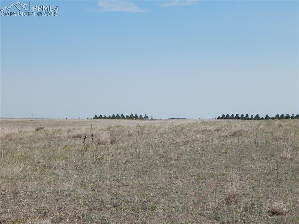 000 County 137 Road - Photo 1