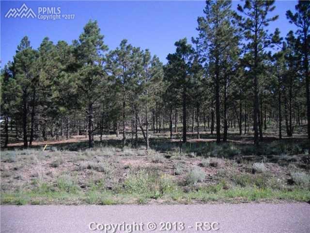 9044 Shipman Lane - Photo 1