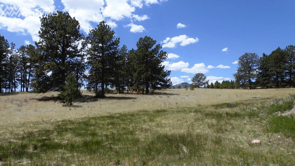 910 Pikes Trail - Photo 1
