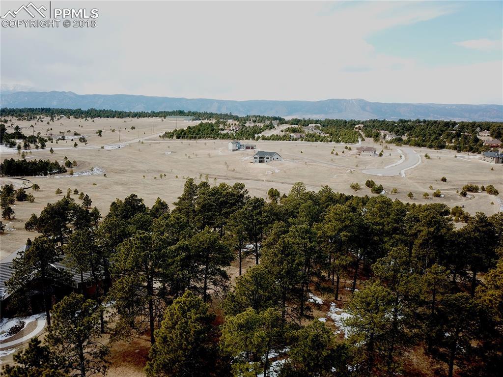 17071 Jackson Ranch Court - Photo 1
