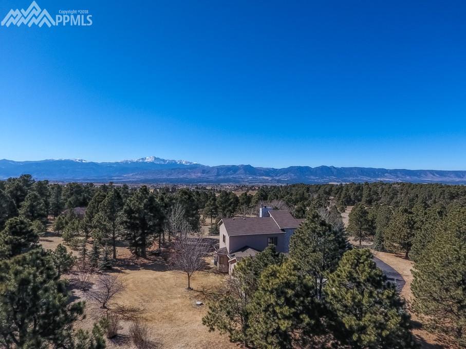 10705 Milam Road - Photo 1