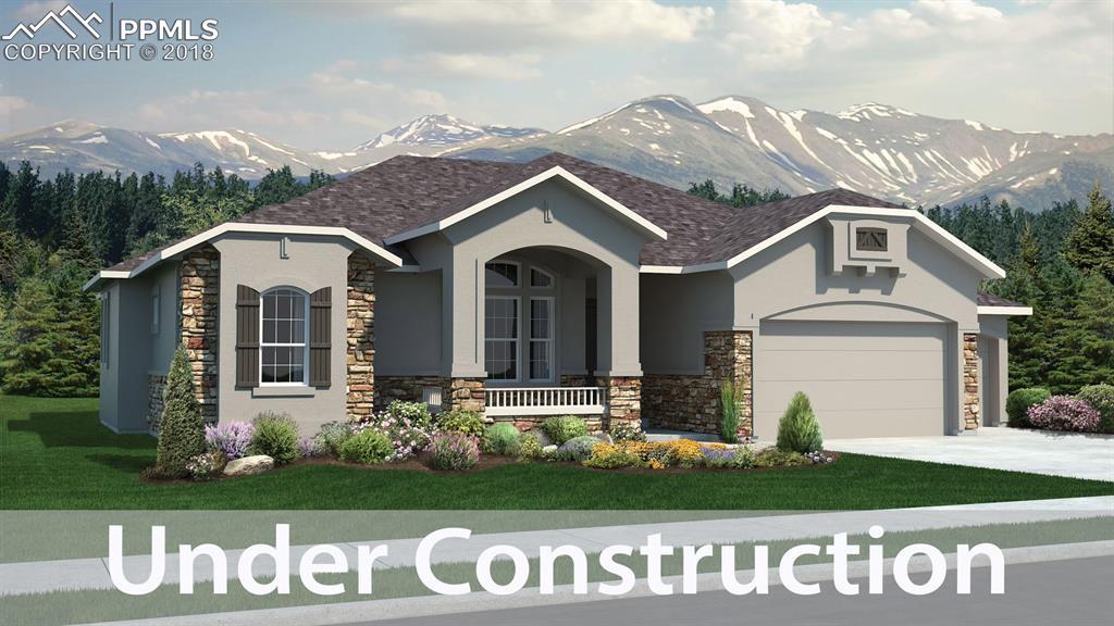 16249 Thunder Cat Way - Photo 1