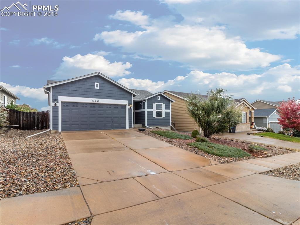 6557 Alibi Circle - Photo 1