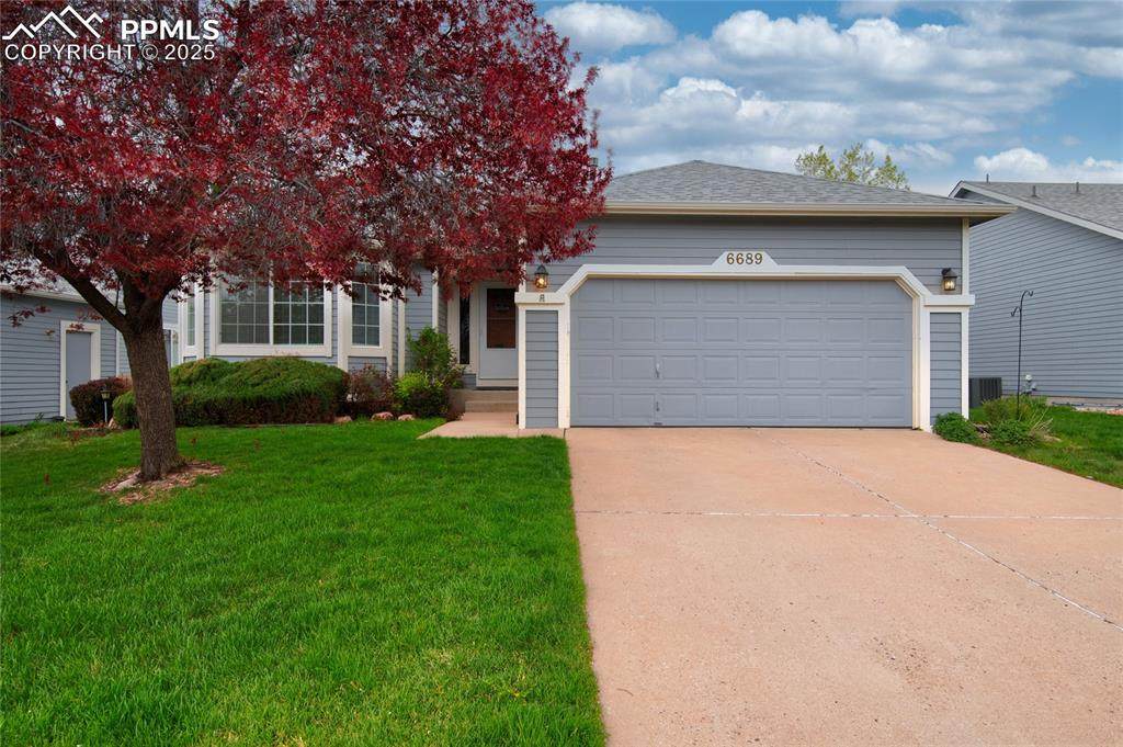 6689 Showhorse Court - Photo 1